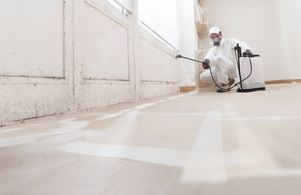 24/7 Emergency Mold Testing experts in Darien, GA