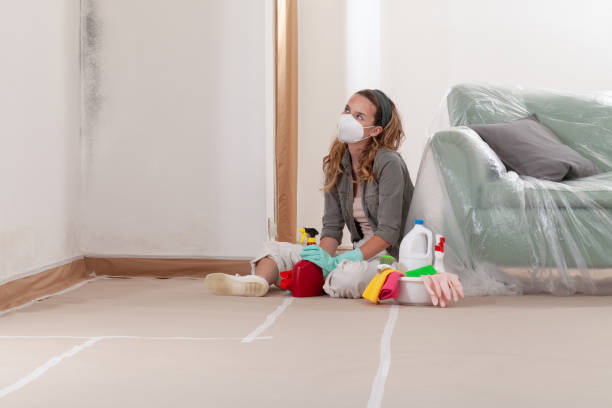 Reliable Mold Testing contractor in Darien, GA by WQB Mold Removal